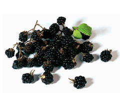 CwbBooze nota Frutas Negras do VINHO TINTO BELLES RIVES CABERNET SAUVIGNON 2015